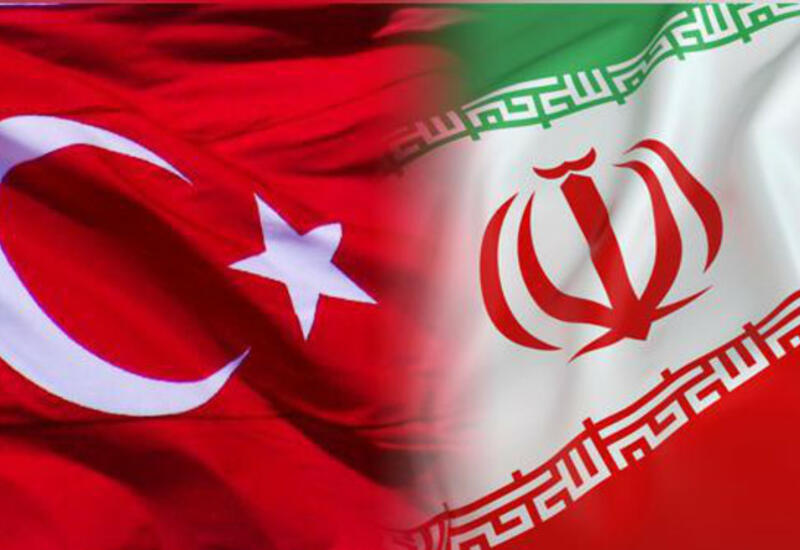 Анкара и Тегеран обсудили ответные меры из-за оскорбления Корана