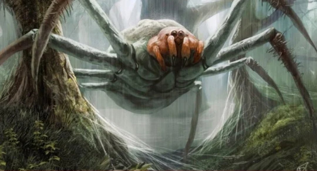 Доисторические пауки из Конго.