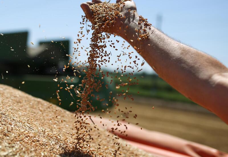 ООН о необходимости возобновления зерновой сделки