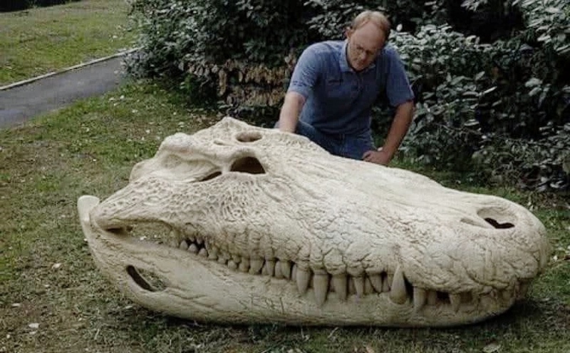 Череп Purussaurus — доисторического крокодила