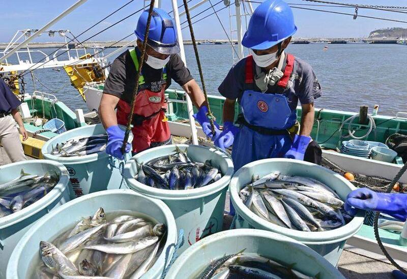 Таиланд не выявил в морепродуктах из Японии следов радиоактивных материалов