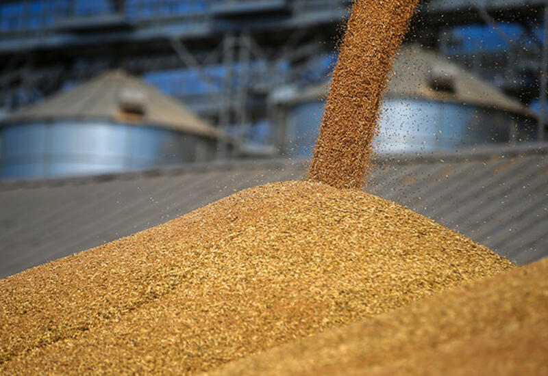 Иран предлагает свою территорию для экспорта зерна из России