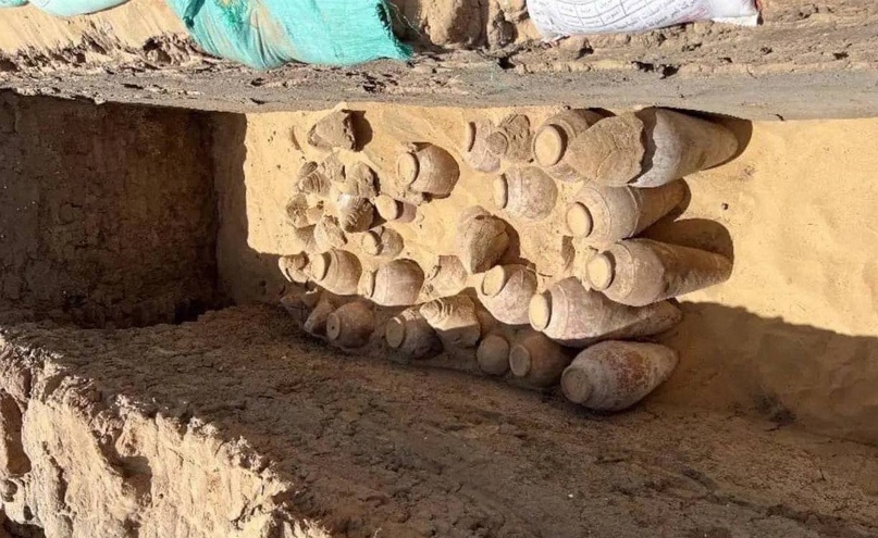 В египетской гробнице вино простояло нетронутым 5 тысяч лет