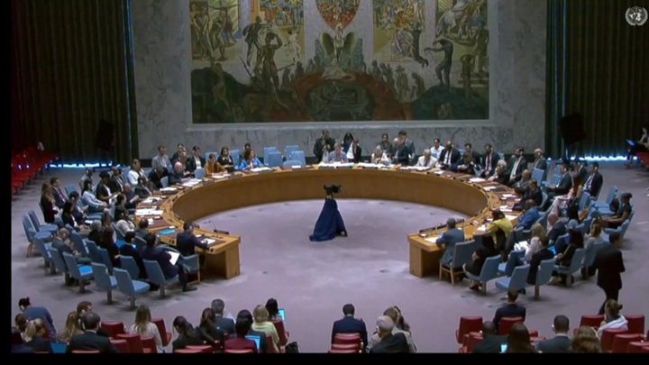 Совбез ООН не принял поправку России по перемирию в секторе Газа