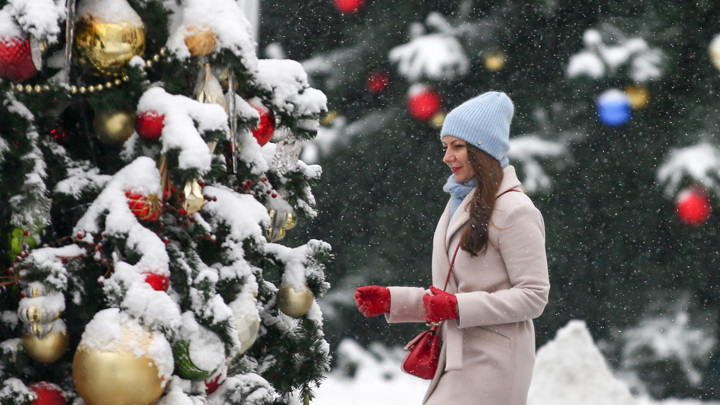 В Москве начали устанавливать новогодние елки