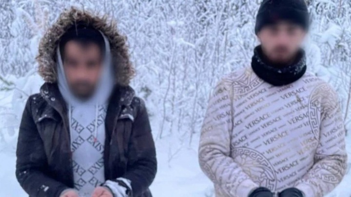 Двое иностранцев пытались незаконно попасть в Финляндию из Ленобласти