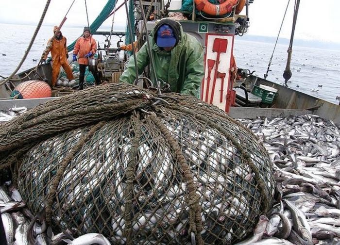 Японские власти намерены возобновить вылов нашей рыбы и морепродуктов в территориальных водах России