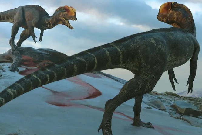 Дилофозавр из «Парка Юрского Периода» оказался в разы больше, чем считалось ранее