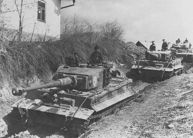 Как мыши полевки остановили под Сталинградом наступление немецкой танковой дивизии