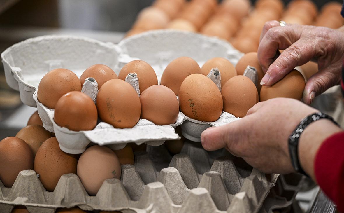 Российские производители яиц четвертую неделю подряд снижают цены на свою продукцию