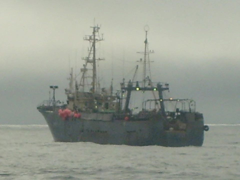 11 февраля 2011 года во время шторма в заливе Шелихова в Охотском море в последний раз вышел на связь траулер Аметист.