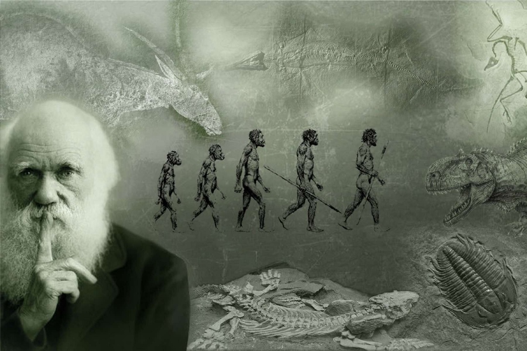 Теория эволюции - одна из самых известных и влиятельных научных теорий в истории человечества