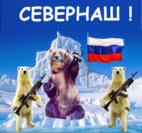 Россия приостановила выплату ежегодных взносов в Арктический совет