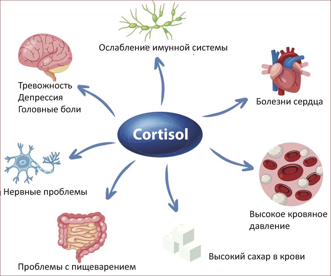 8 заметных признаков высокого уровня кортизола, которые мы усердно игнорируем