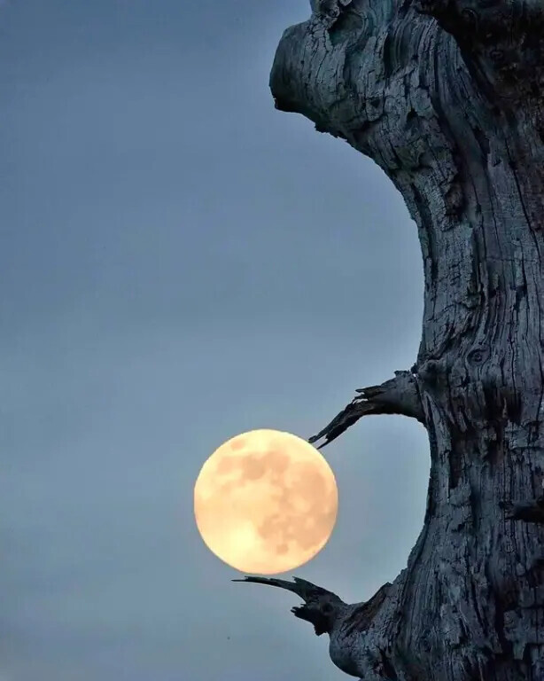 Лунное затмение 25 марта ОЧЕНЬ особенное.