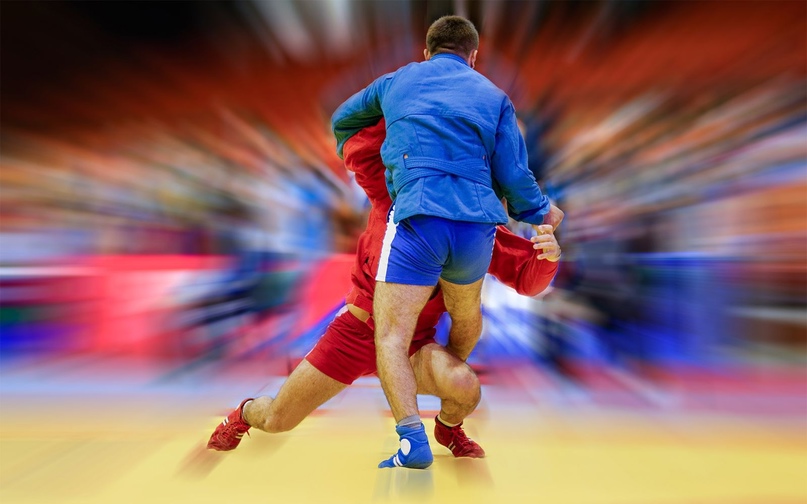 Россияне завоевали девять золотых медалей в первый день Кубка мира по самбо