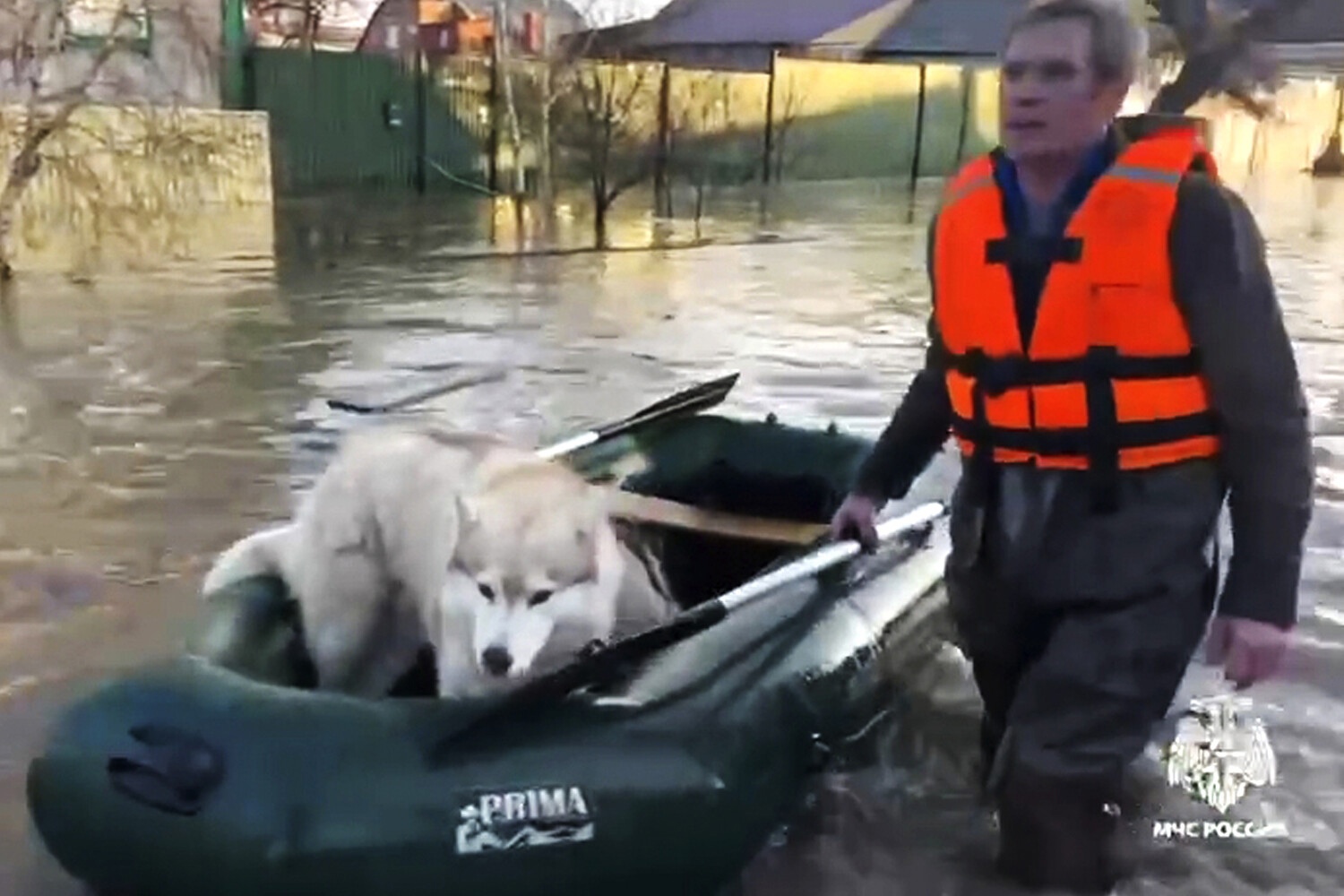 МЧС эвакуирует домашних животных из затопленных районов Орска после прорыва дамбы
