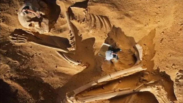 «гигантские скелеты» в Неваде очаровывают археологов