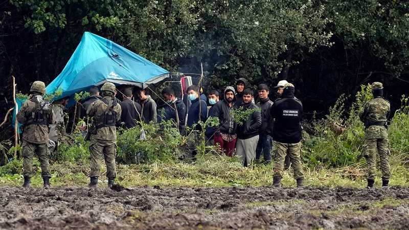 Мигранты напали на польских пограничников на границе с Белоруссией