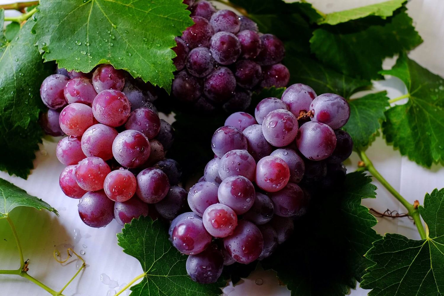 Виноград назван самой вредной ягодой для употребления в пищу