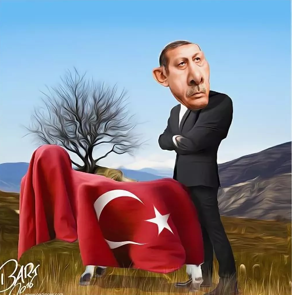 Уголовщина в международном масштабе – в чем Турцию обвиняет МУС