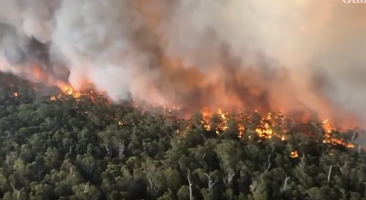 Пожары в Австралии приняли масштаб планетарной катастрофы