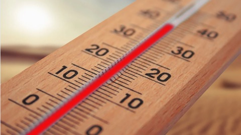 Столбики термометров на Дону завтра могут достигнуть +41°С