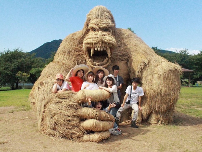 Забавные гиганты: Японские студенты нашли неожиданное применение рисовой соломе