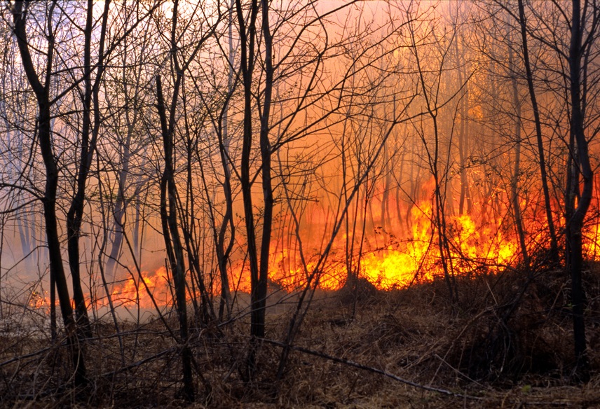Природные пожары в России продолжают разгораться даже осенью
