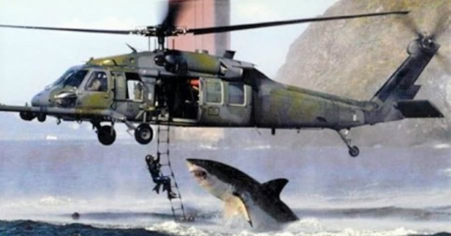 10 самых страшных нападений акул на людей, снятых на камеру
