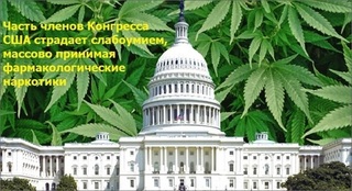 Часть членов Конгресса США страдает слабоумием, массово принимая фармакологические наркотики