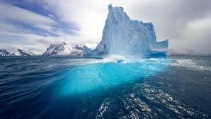 Учёные обнаружили загадочное существо во льдах Арктики