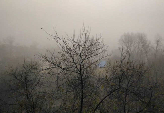 Хабаровск задыхается в дыму от лесных пожаров
