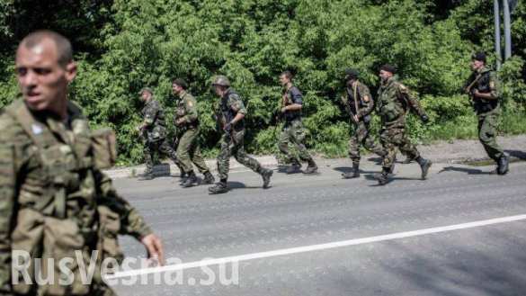 Военные ВСУ покидают позиции на Донбассе из-за голода (ВИДЕО)