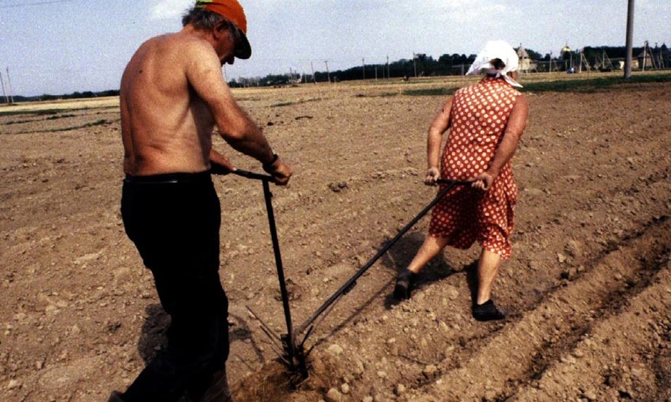Украинские фермеры до сих пор обрабатывают поля мотыгами