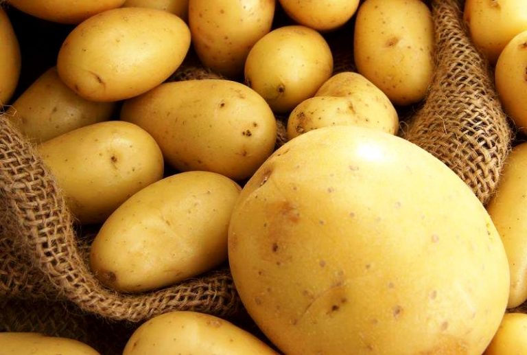 Картофельный газ: почему нельзя дома хранить картошку