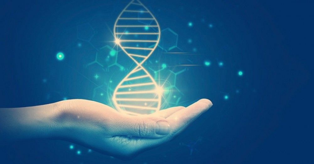 Невероятные трюки, которые ученые провернули с ДНК