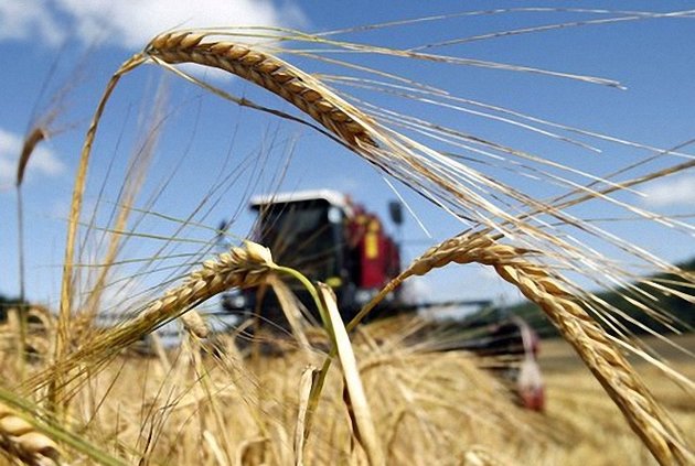 США признали поражение в «зерновой войне» с Россией