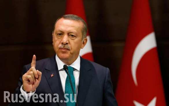 Эрдоган не принял извинения НАТО после скандала в Норвегии