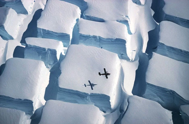 От сахарной Антарктики до портрета тихоходки: названы лучшие фото о жизни на Земле