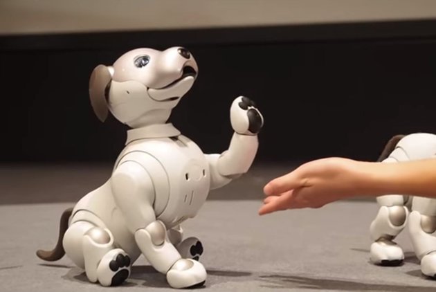 Sony выпустила новую версию легендарного робота-собаки Aibo