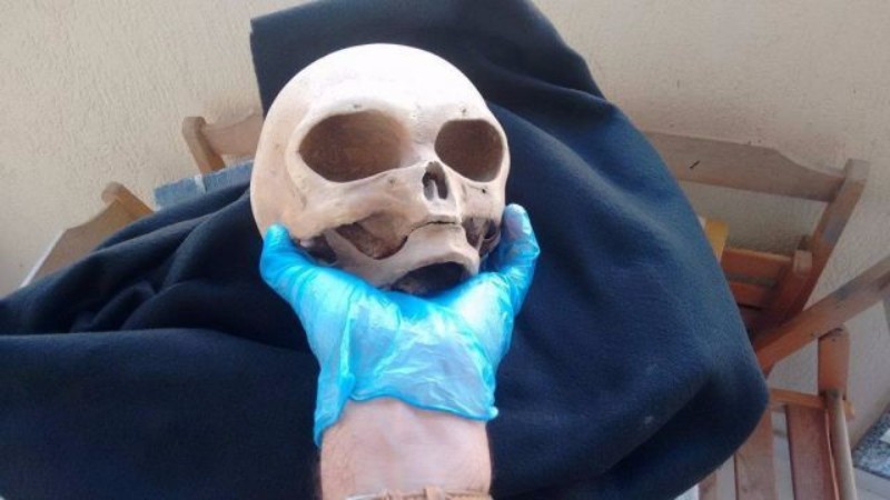 В России нашли кейс со странными черепами и логотипом Аненербе