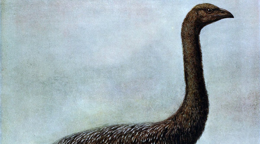 10 древних животных, которых могут вернуть к жизни