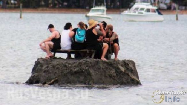 Новозеландцы построили остров, чтобы выпить в Новый год