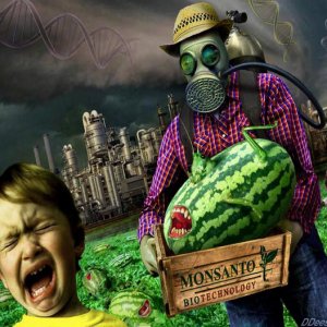 Монсанто: ГМО как биологическое оружие