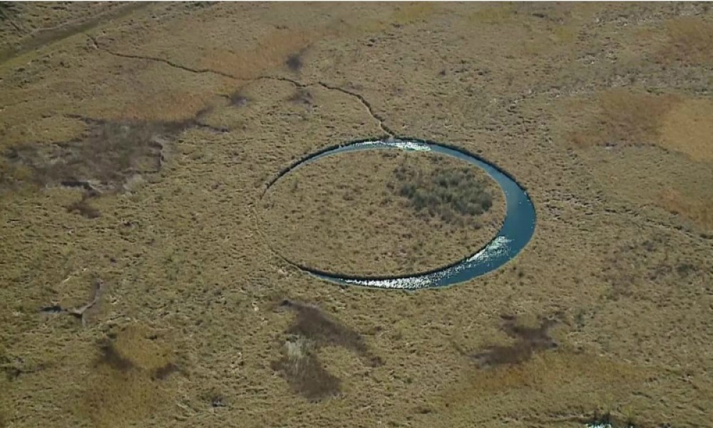 Загадочный остров в болотах Аргентины