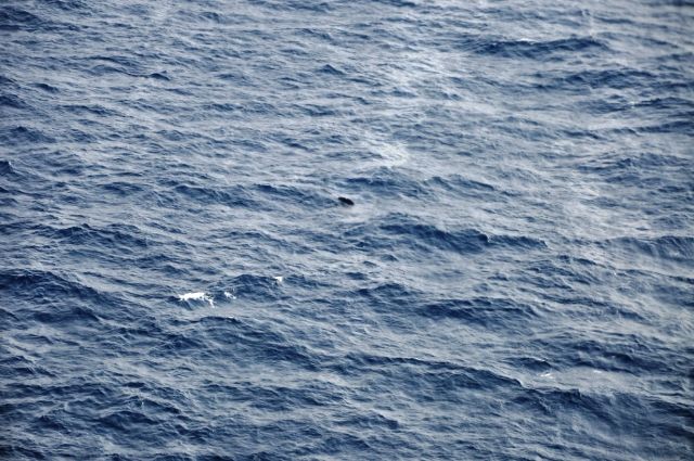 На борту пропавшего в Японском море судна были только россияне
