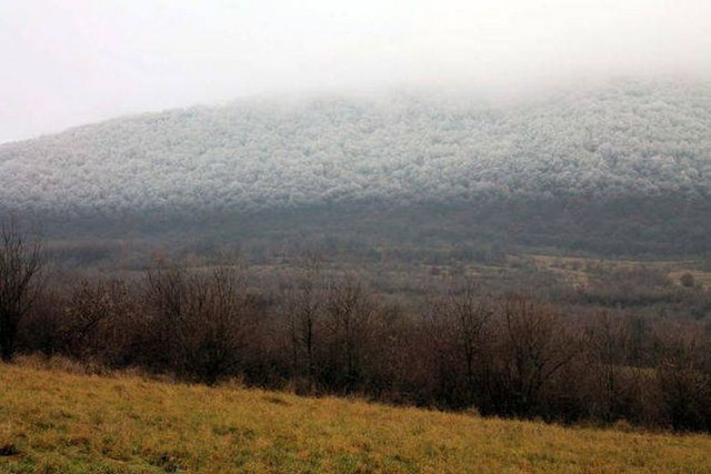 В Венгрии зафиксировали уникальное природное явление - «белую смерть»