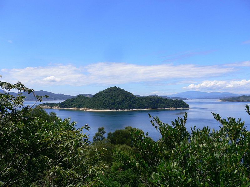 Маленький остров, расположенный в Японском море, на котором много пушистых жителей