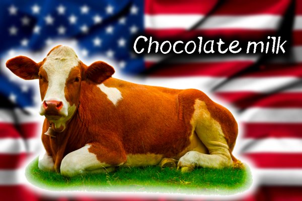 Американцы: шоколадное молоко дают «коричневые коровы»
